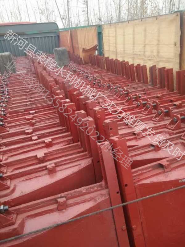 �T�F���l�T